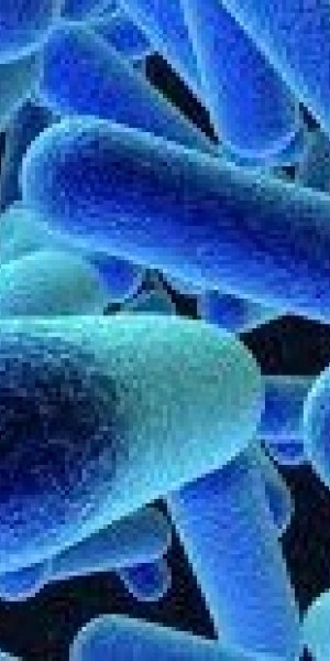 Een Listeria-besmetting: onoverkomelijk of beheersbaar?