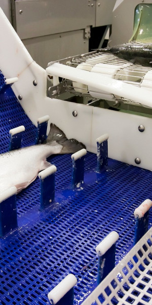 Verlaagde watertemperatuur vermindert energiekosten. Nieuwe generatie enzymatische reinigers.